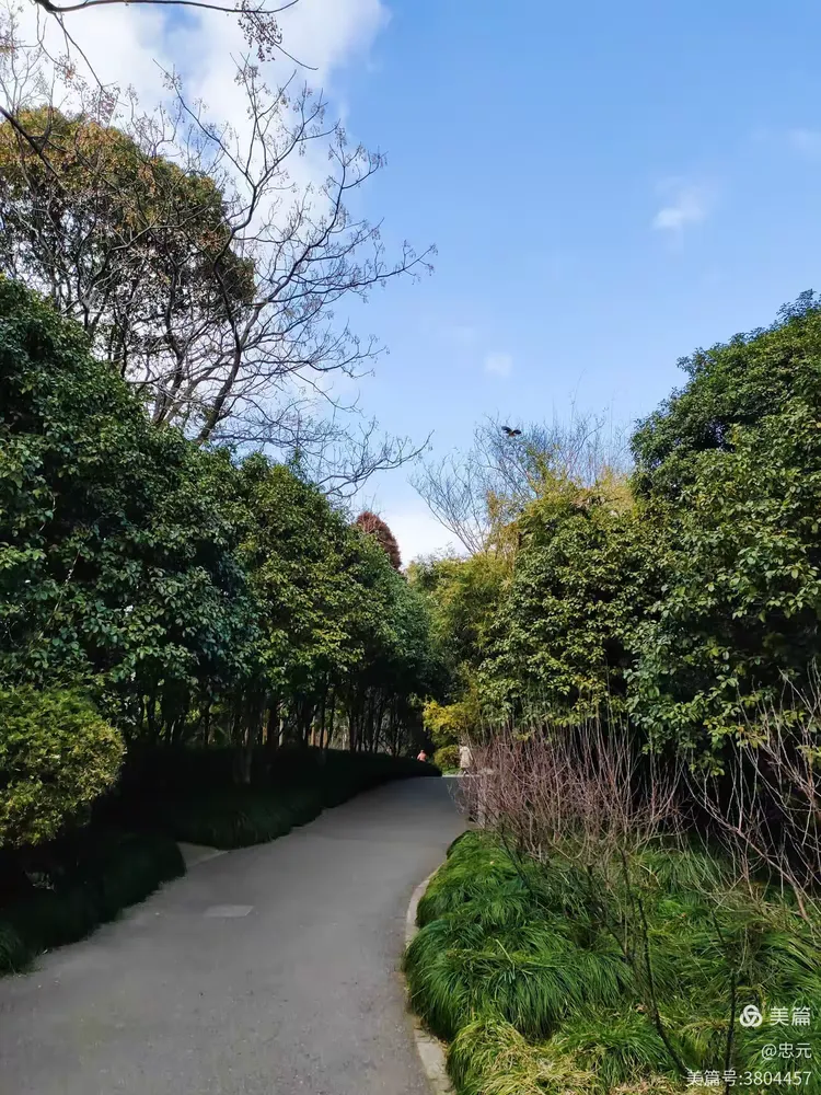 罗溪公园攝游篇